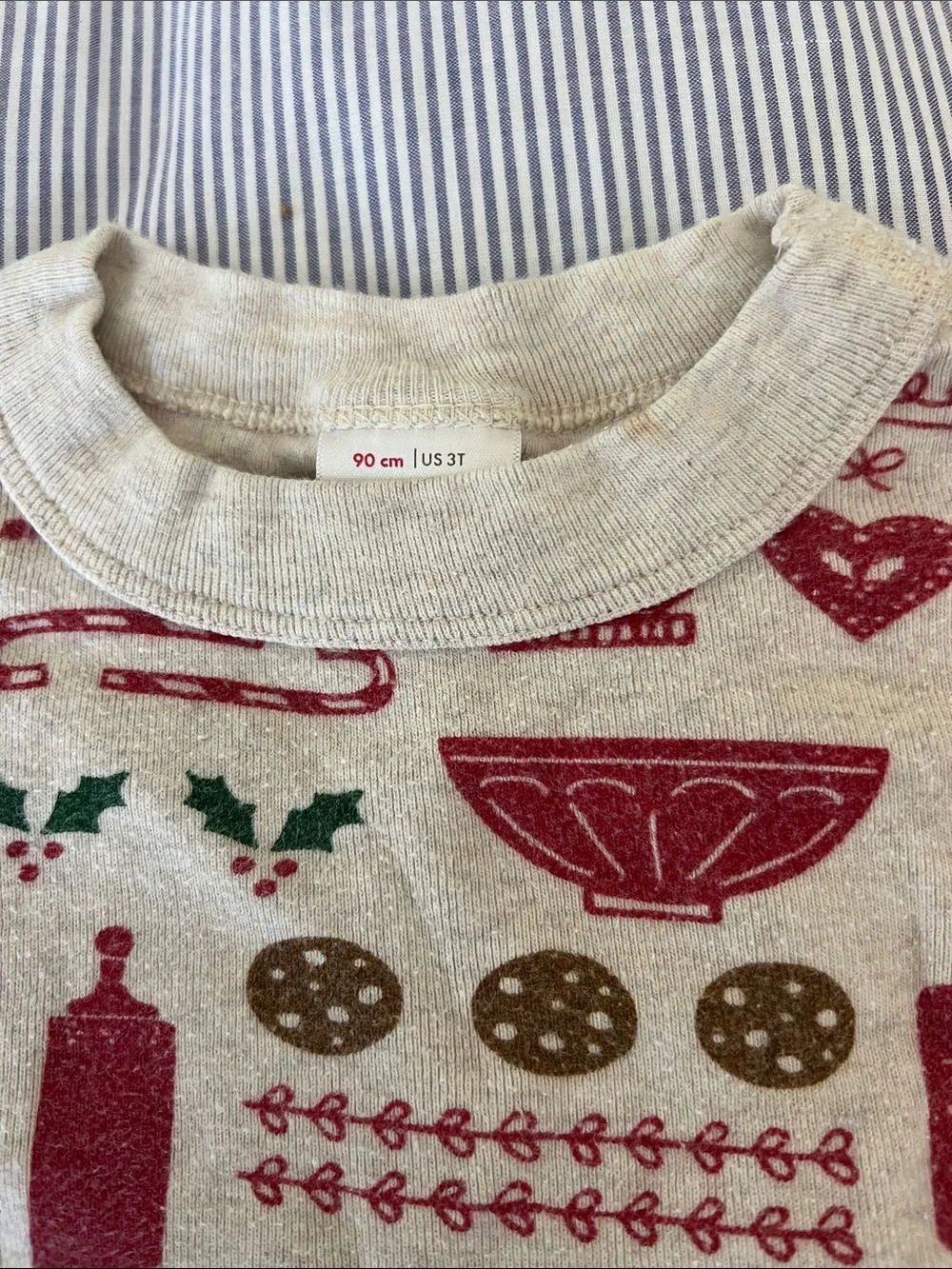 Lot of 2 Hanna Andersson pajamas 3t